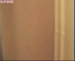animation3.gif
