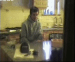 animation5.gif